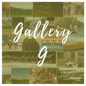 Gallery G