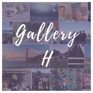 Gallery H